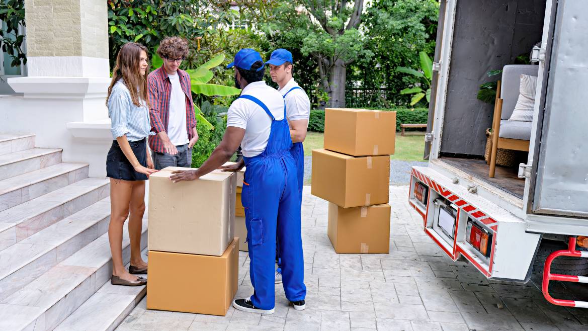 Removalists Bondi