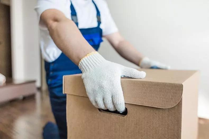 Person carrying a small box